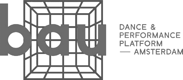 logo bau