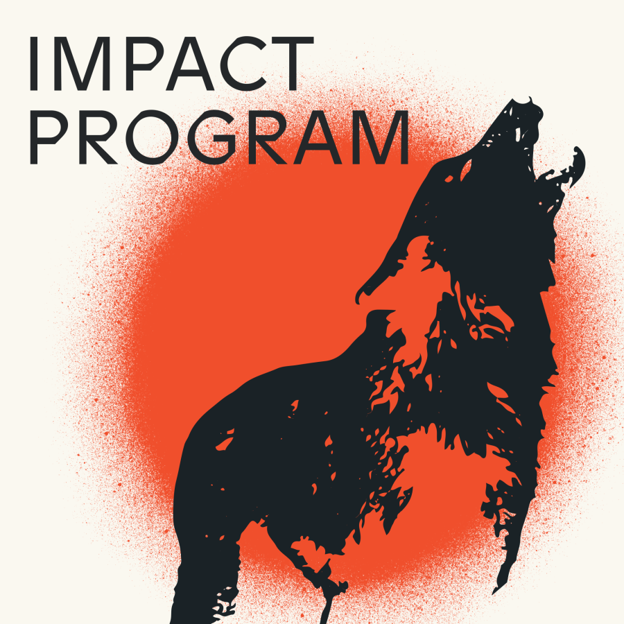 impact program