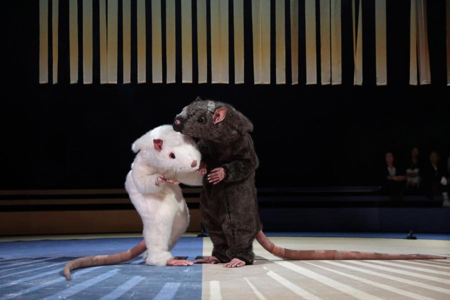 NOW WE ARE EARTH - Nicole Beutler Projects (Foto: Anja Beutler)