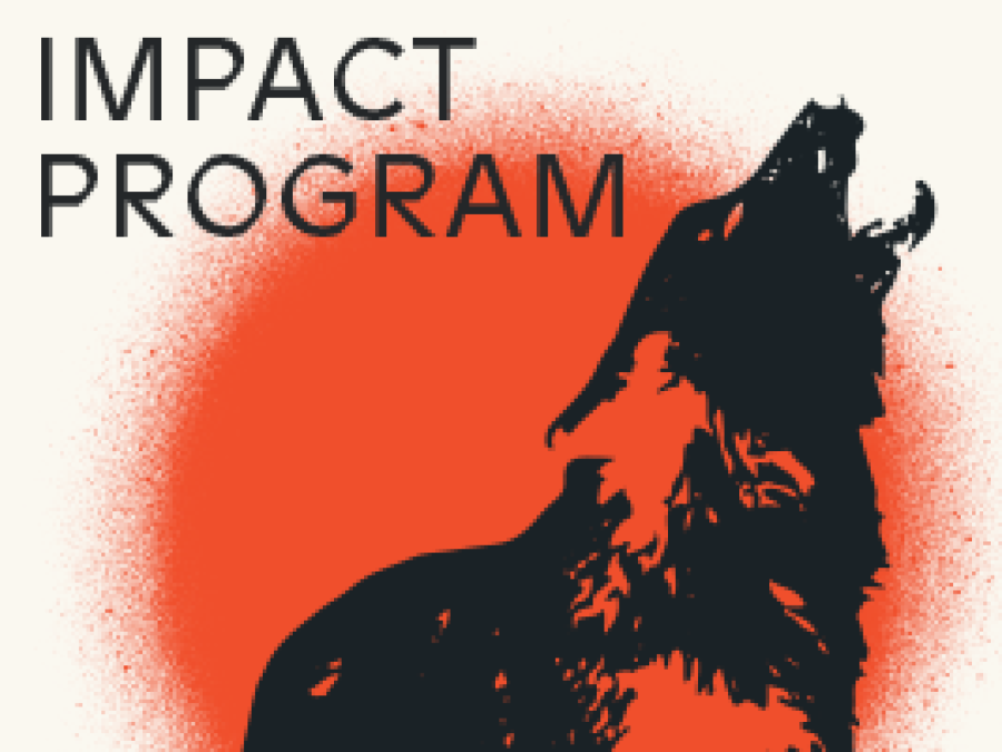 impact program